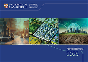 CISL annual review 2025 cover