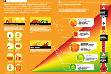 Agriculture infographic Agriculture infographic
