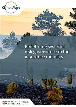 Redefining Systemic Risk Governance in the Insurance Industry