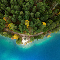 Forest shoreline with turquoise water. Aerial view of a dense forest meeting a shoreline, with tall evergreen trees and a few yellow‑leaved trees beside a narrow dirt path that runs along bright turquoise water.