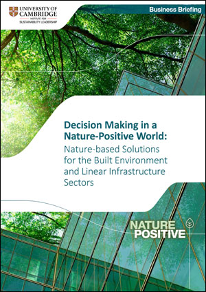 nature-based-solutions-beli_sector.jpg nature-based-solutions-beli_sector.jpg