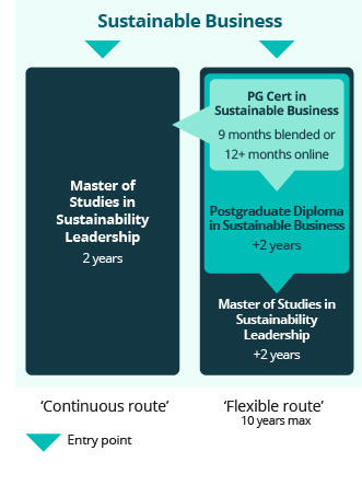 Flexible route graphic showing the pathways of studying