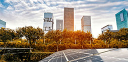 Centre for Sustainable Finance Centre for Sustainable Finance