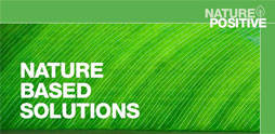 Nature-based solutions to climate change Nature-based solutions to climate change