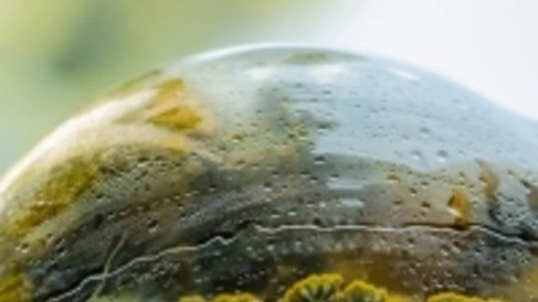 Low-carbon, climate-smart technologies