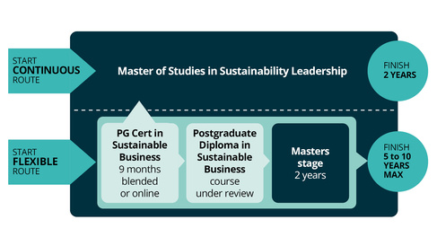 MSt Sustainablity Leadership Pathway Diagram