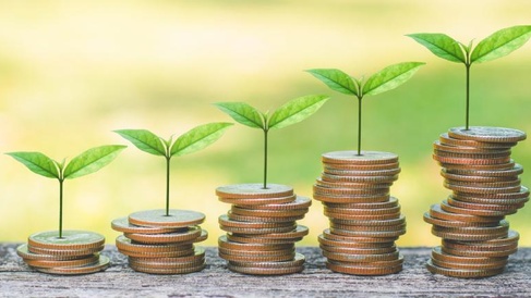 Stacks of coins with growing green seedlings arranged in ascending order, symbolising sustainable finance, green investment, and long-term value creation.