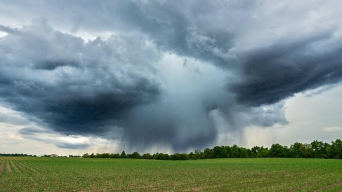 Dark storm clouds over an agricultural field with heavy rainfall visible in the distance beneath a dramatic thunderstorm sky.