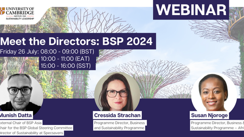 Meet the Directors Webinar - BSP