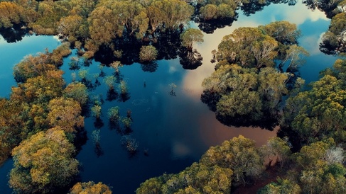 how can businesses overcome financial barriers to investing in nature-based solutions