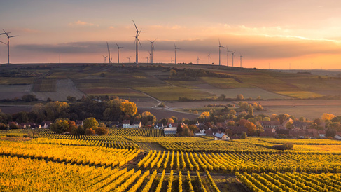 Wind turbines in agricultural landscape