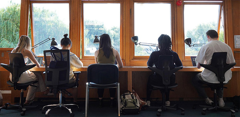 Five people sit at a long shared desk working on laptops in a bright workspace with large windows and trees visible outside.