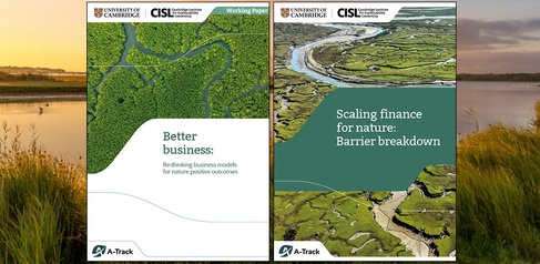 Two CISL reports: Better business: Re-thinking business models for nature positive outcomes; and Scaling finance for nature: Barrier breakdown