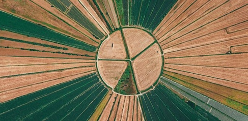 Aerial view of irrigated farmland, looking like a pie chart