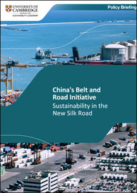 China's Belt and Road Initiative