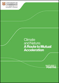  A Route to Mutual Acceleration