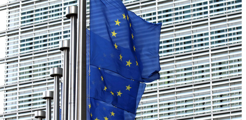EU flags