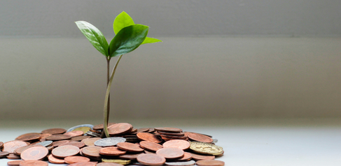sustainable future