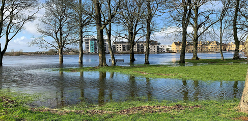flooded parkland