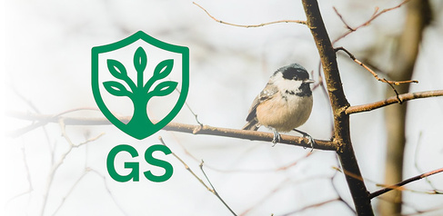 A small bird with a light brown body and a black‑and‑white head pattern perches on a thin branch, with bare branches behind it. A green shield‑shaped emblem with a stylised tree and the letters “GS” appears to the left of the bird.