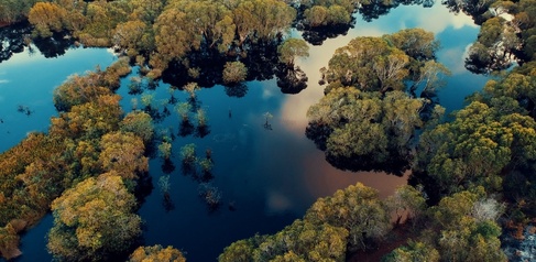 how can businesses overcome financial barriers to investing in nature-based solutions