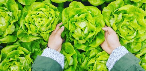 The key role of food systems in biodiversity restoration