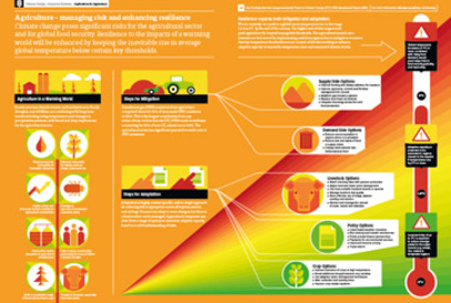 Agriculture infographic