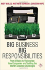 Big Business, Big Responsibilities: From Villains to Visionaries: How Companies are Tackling the World's Greatest Challenges