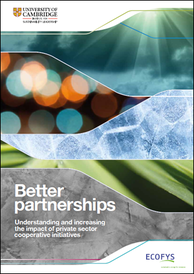 Better-partnerships-report.png