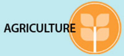 Agriculture