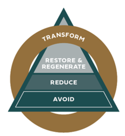 Better Business: Re-thinking Business Models for Nature Positive Outcomes 