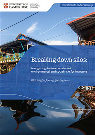 Breaking Down Silos cover