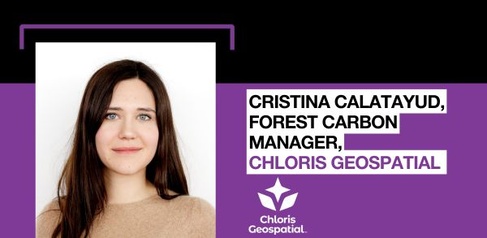 Christina and the Chloris Geospatial Logo are combined here on a Canopy design showing her name and title in relation to the company. 