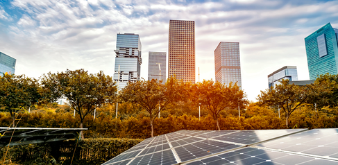 Centre for Sustainable Finance
