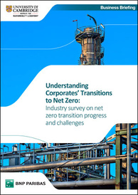 Corporates Net Zero Survey