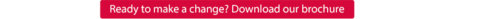 Download IDBE brochure