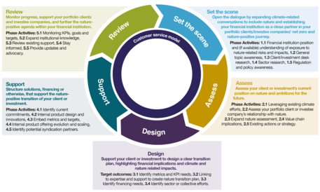  Review, Set the scene, Assess, Design, Support