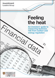 Feeling the heat cover