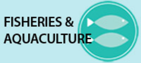 Fisheries & Aquaculture