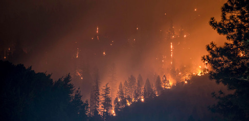 Forest fire