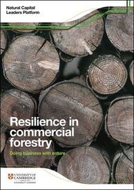 Forestry report