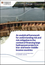 FutureDams working paper Ri