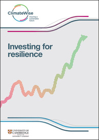 Investing for resilience