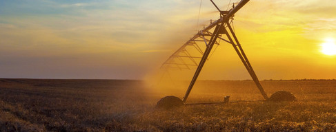 The world consumes 50 per cent more natural capital per year than the Earth can replenish. With resources diminishing, businesses have to face a stark choice; adapt or fail.