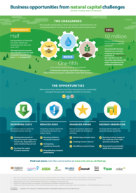 Natural Capital Infographic 590px