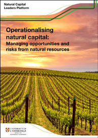 Operationalising NatCap