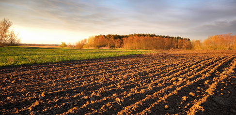 ploughed fields