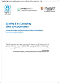 Policy briefing Financial large