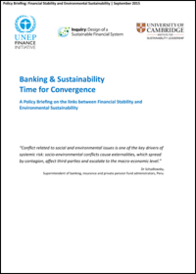 Policy briefing   Financial
