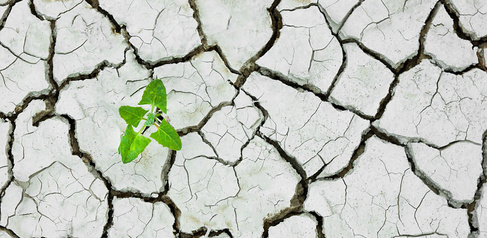 Risk and resilience